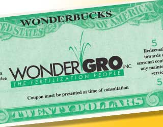 wonderbuck