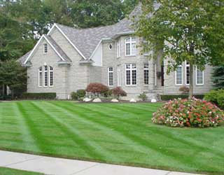 lawn_fertilization